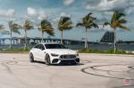Mercedes-AMG GT63 S 4Matic 4-Door Coupe (M-X4T (3-Piece)) 2019 года